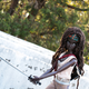 Illustration for article titled Oh my god why isnt this Michonne from emThe Walking/em Dead Barbie real